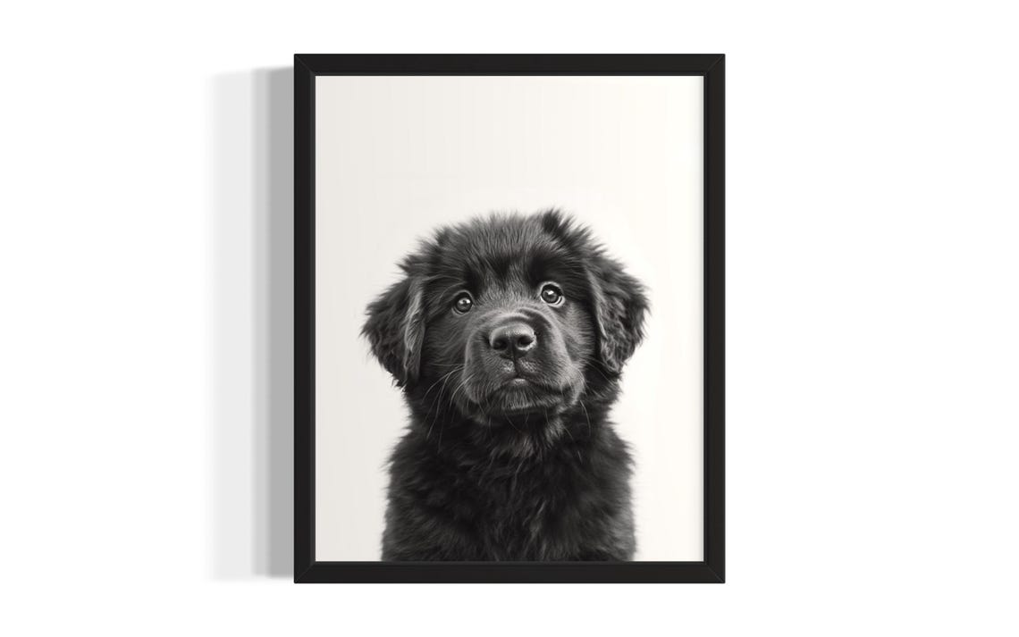 Very Fluffy Black Puppy Portrait Minimalist Nursery Animal Poster