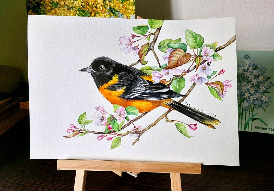 Baltimore Oriole Watercolor Bird on Pink Blossom Branch Poster - Image 5