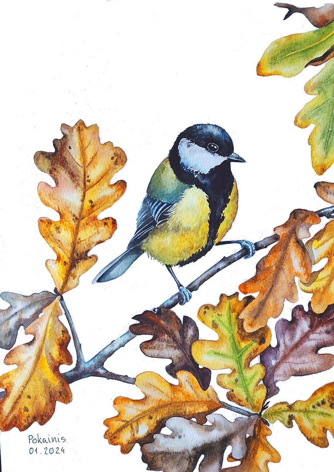 Great Tit Watercolor Bird Poster Perched On Autumn Oak Branch