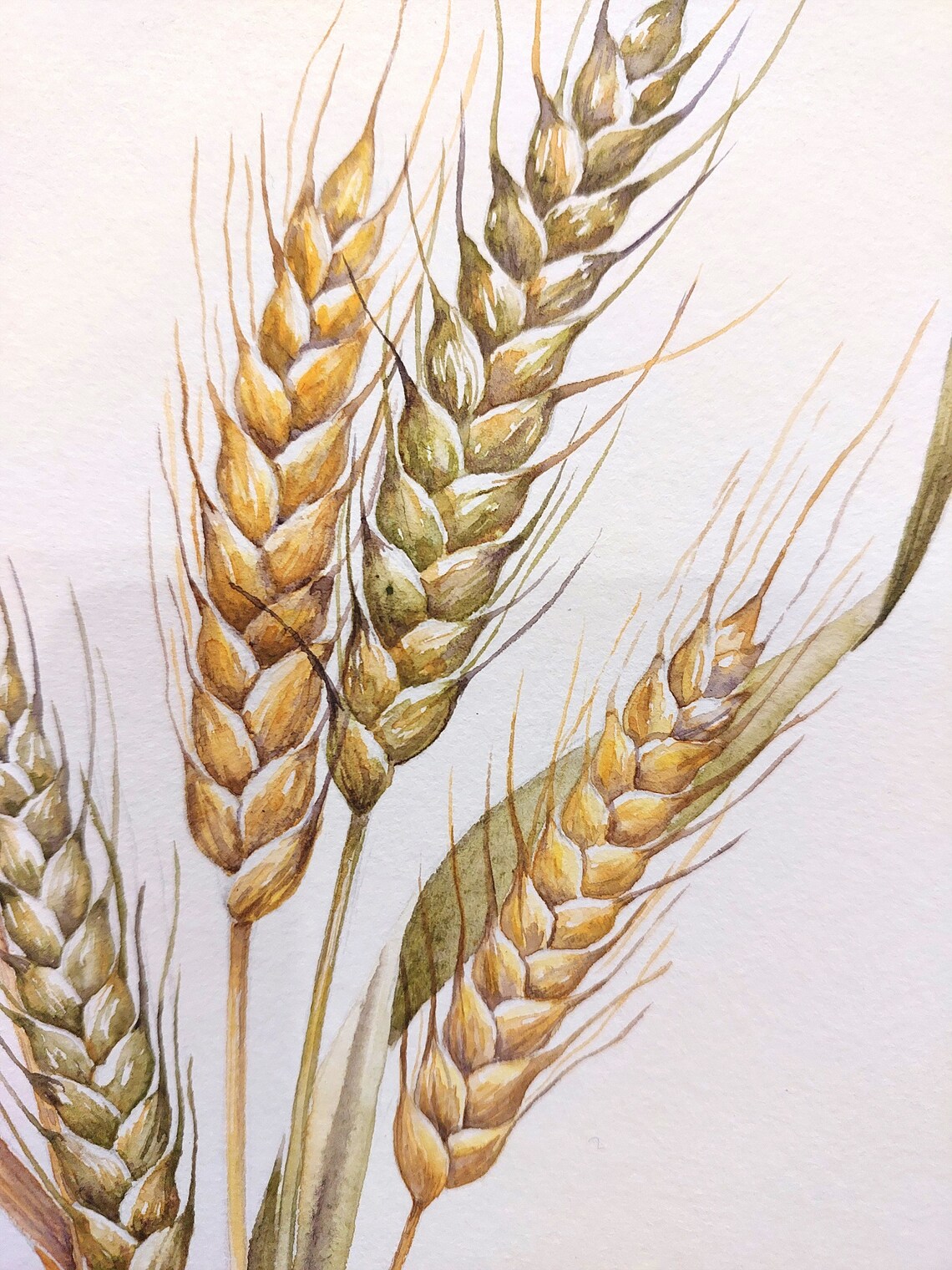 Golden Wheat Watercolor Botanical Farmhouse Kitchen Art Poster - Image 3