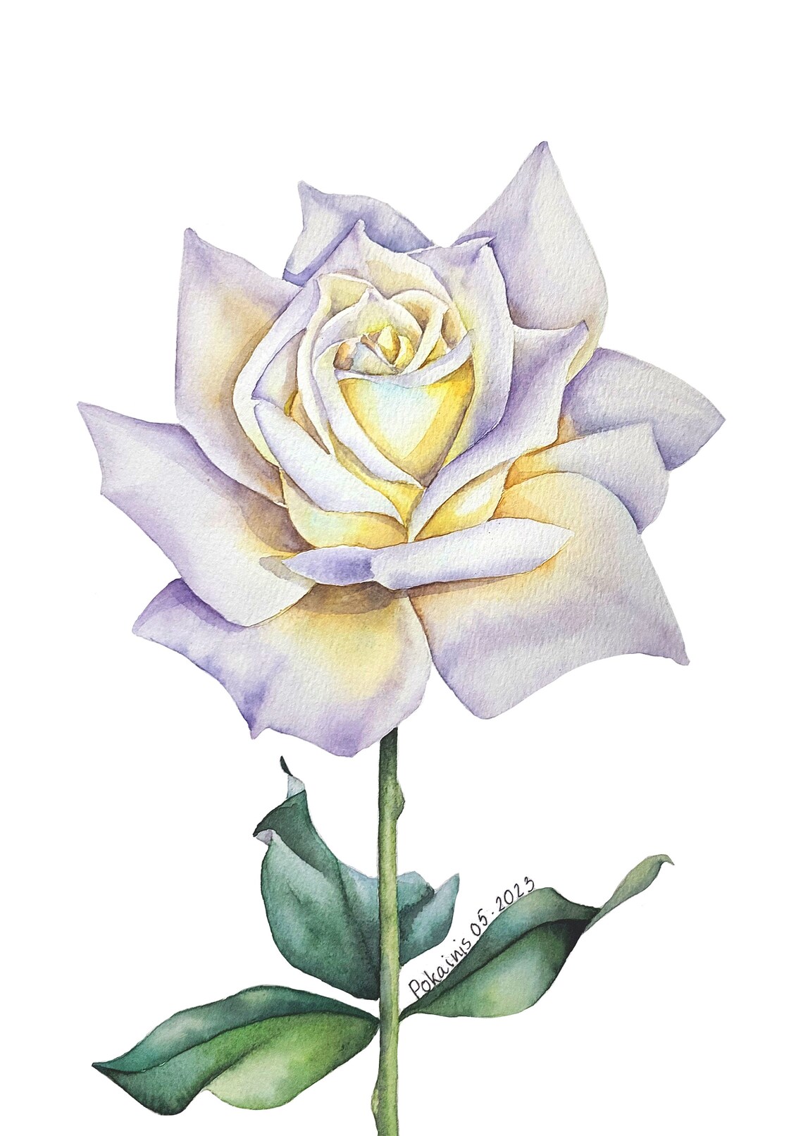 Cream Yellow Rose Watercolor Poster With Lavender Petal Edges