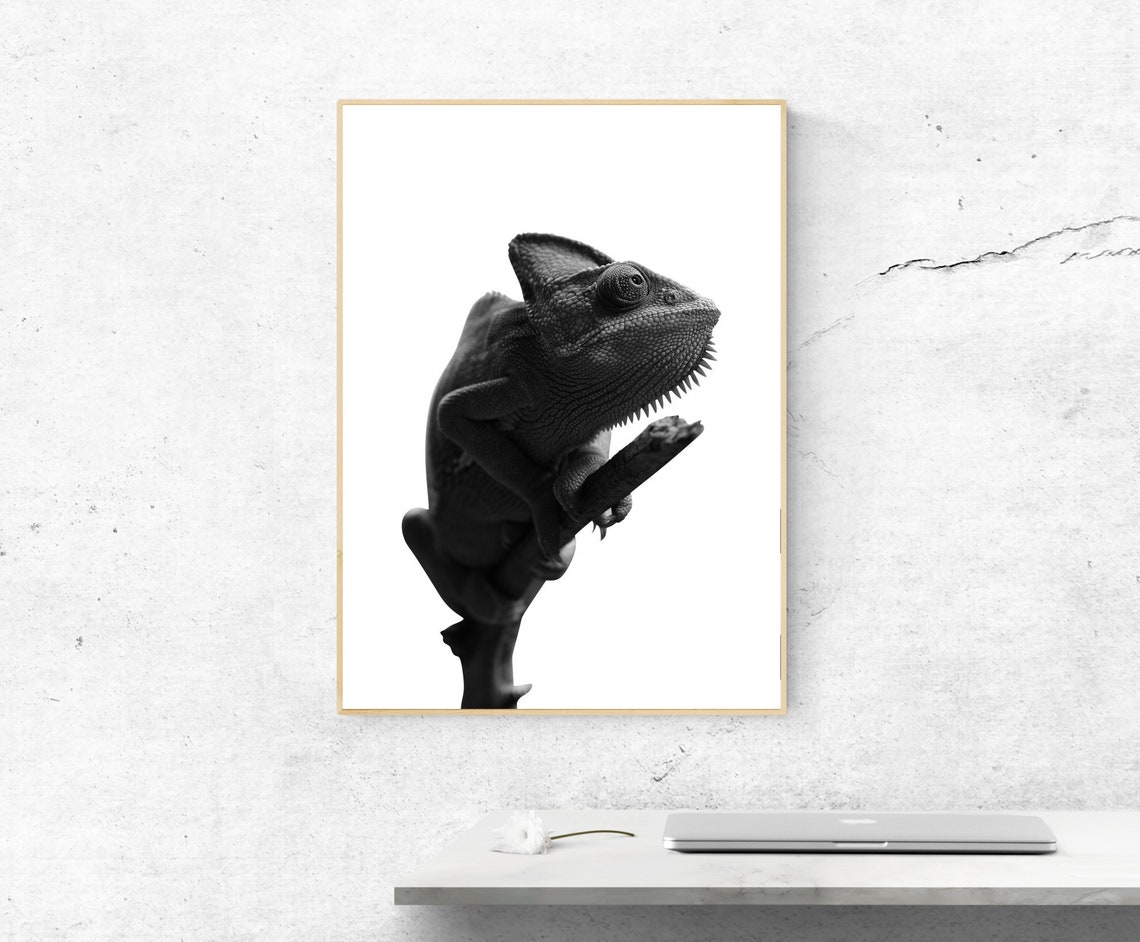 Black and White Chameleon on Branch Minimalist Photo Art Poster