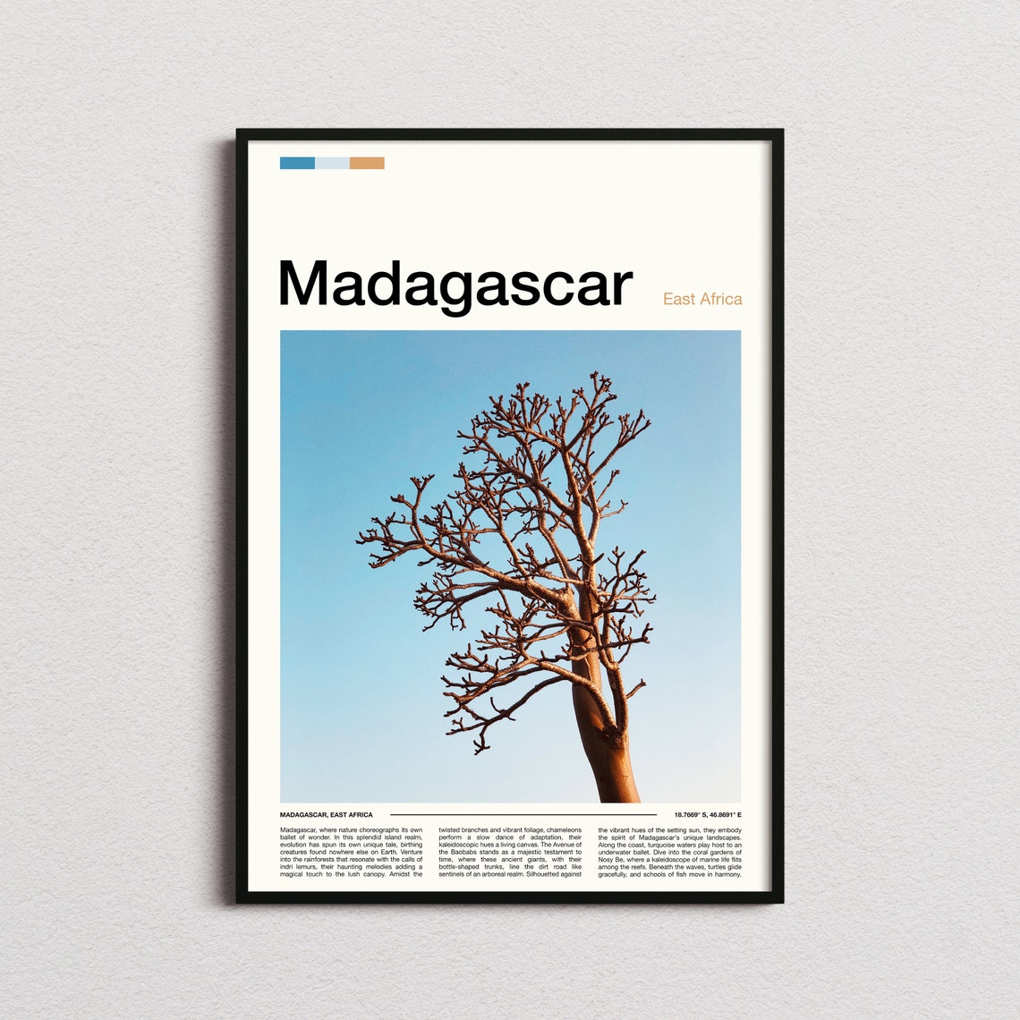 Madagascar Baobab Tree Branches Blue Sky Nature Photography Poster