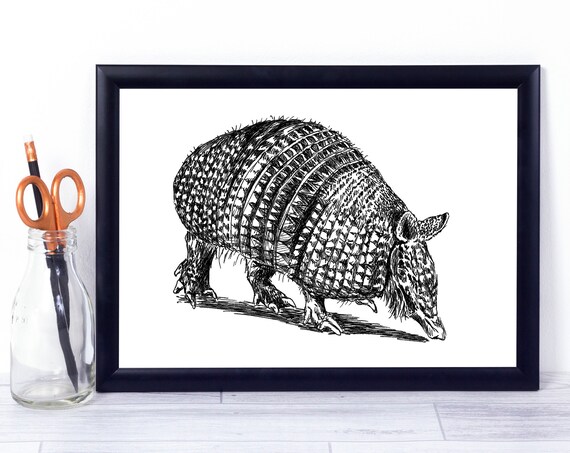 Armadillo Hand Drawn Ink Sketch Cute Animal Nursery Wall Art