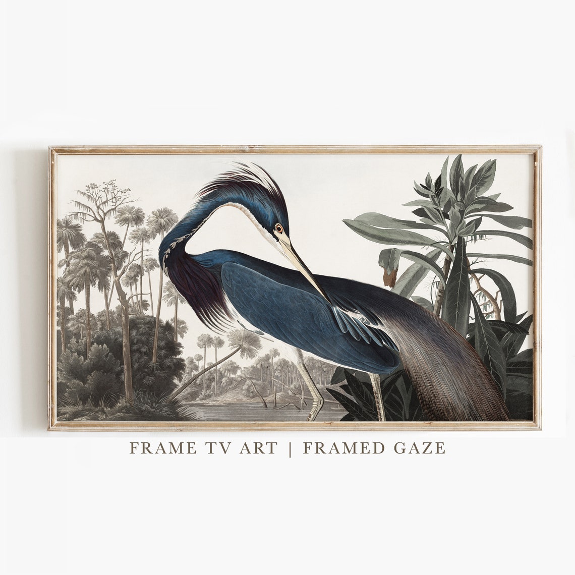 Louisiana Heron Audubon Style Palm Marsh Vintage Bird Art Poster