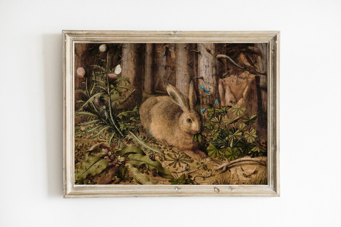 Vintage Young Hare Rabbit Forest Botanical Detailed Durer Style Nature Art Print