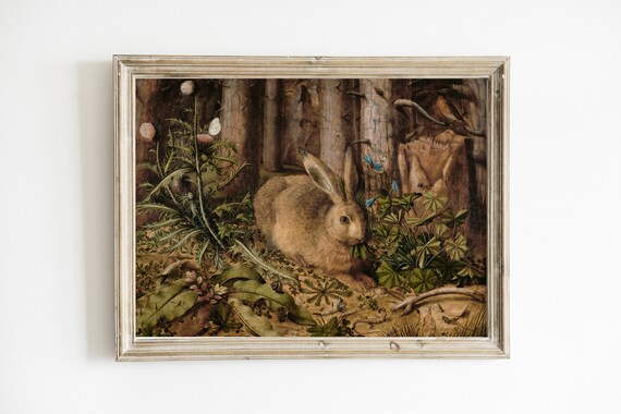 Vintage Young Hare Rabbit Forest Botanical Detailed Durer Style Nature Art Print