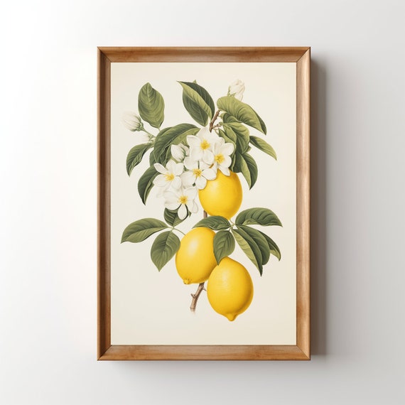 Vintage Lemons Poster, Retro Citrus Kitchen Art