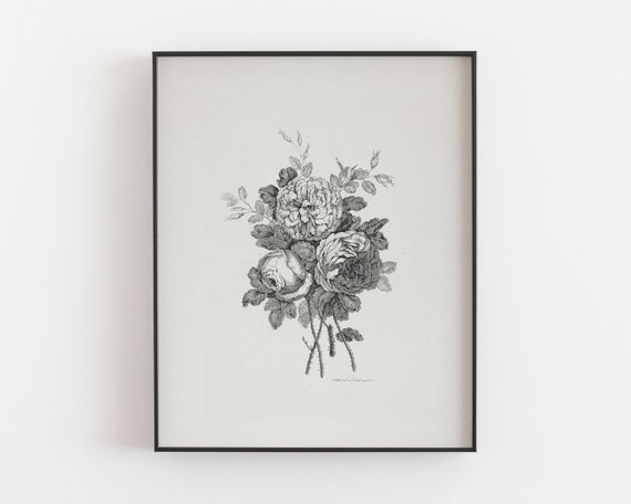 Vintage Rose Drawing Art Print, Botanical Floral