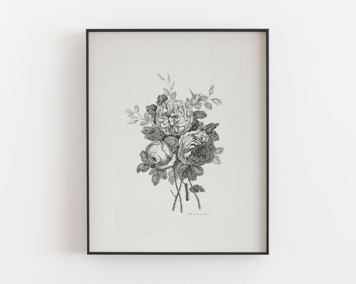 Vintage Rose Drawing Art Print, Botanical Floral