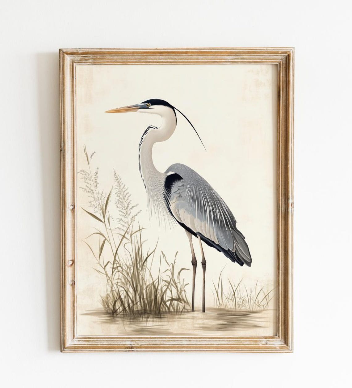 Great Blue Heron Watercolor Bird Art Standing in Marsh Reeds Print