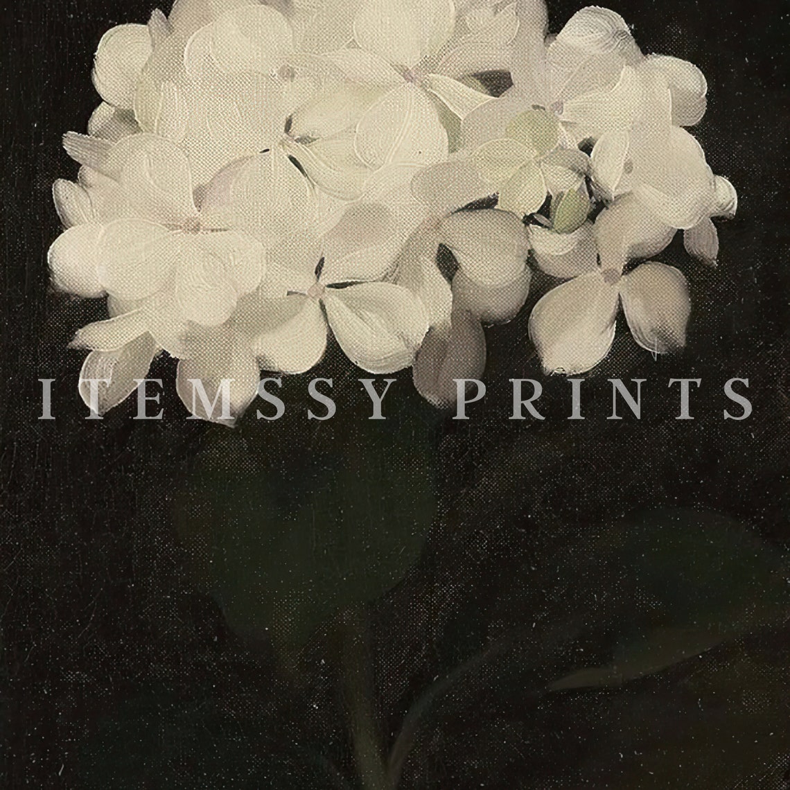 White Hydrangea Bloom On Dark Background Moody Botanical Oil Poster - Image 2
