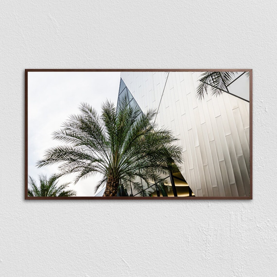 Palm Trees Modern White Building Minimal Travel Photography Poster