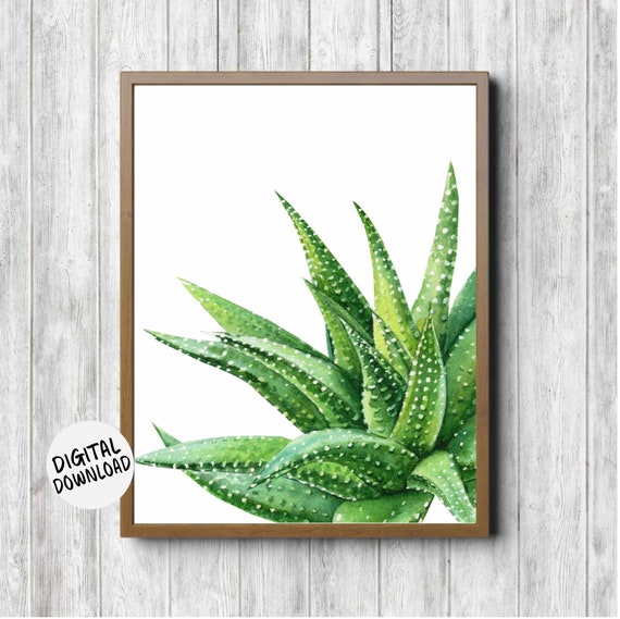 Aloe Vera Watercolor Green Plant Art Print
