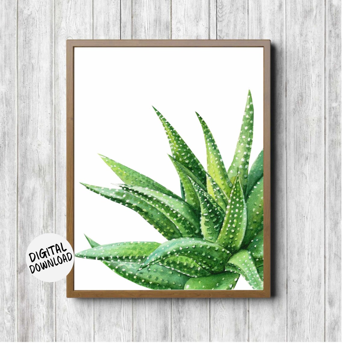 Aloe Vera Watercolor Green Plant Art Print