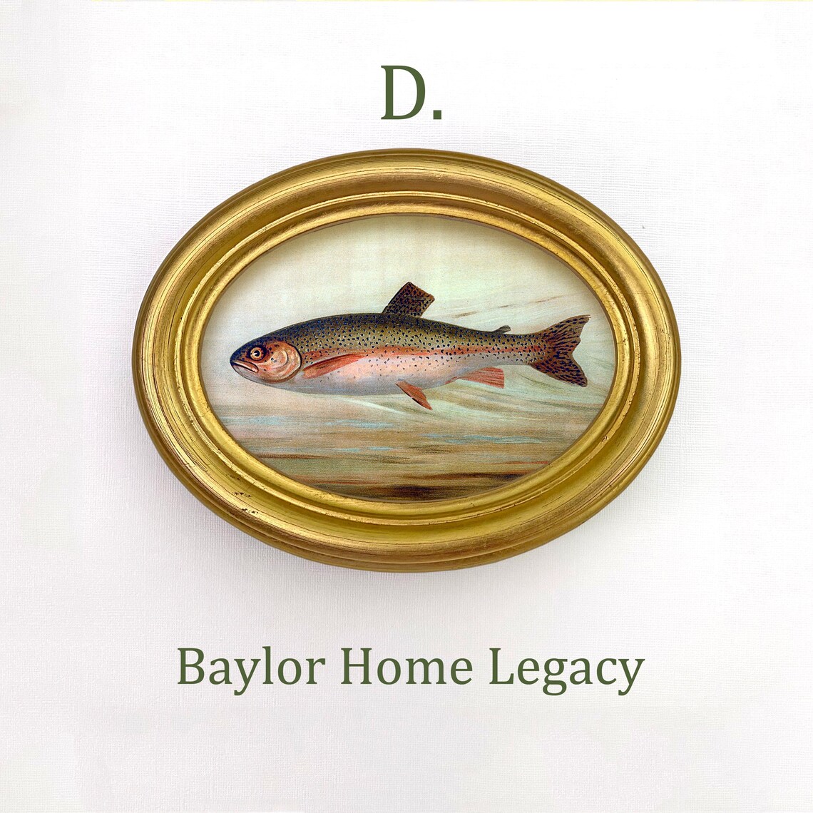 Rainbow Trout Antique Lithograph, Oval Fish Art Print - Image 2