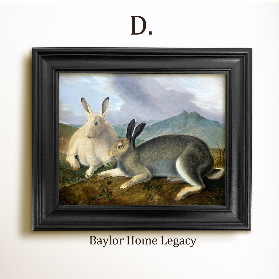 Two Hares Resting In Mountain Meadow Vintage Rabbit Wildlife Art Poster - Image 2