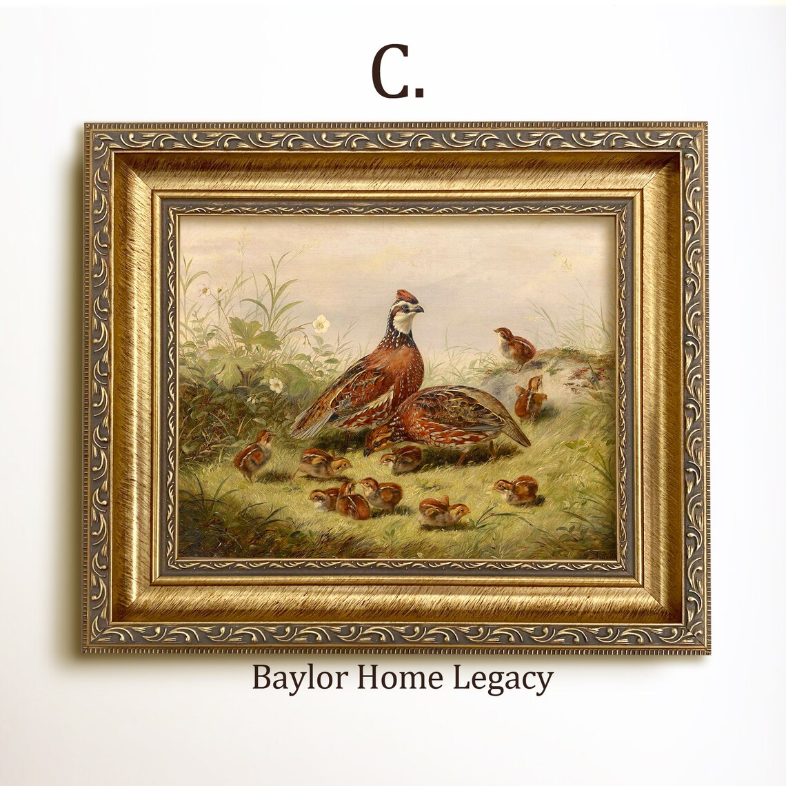 Bobwhite Quail and Chicks Oil Painting Art Print - Image 3