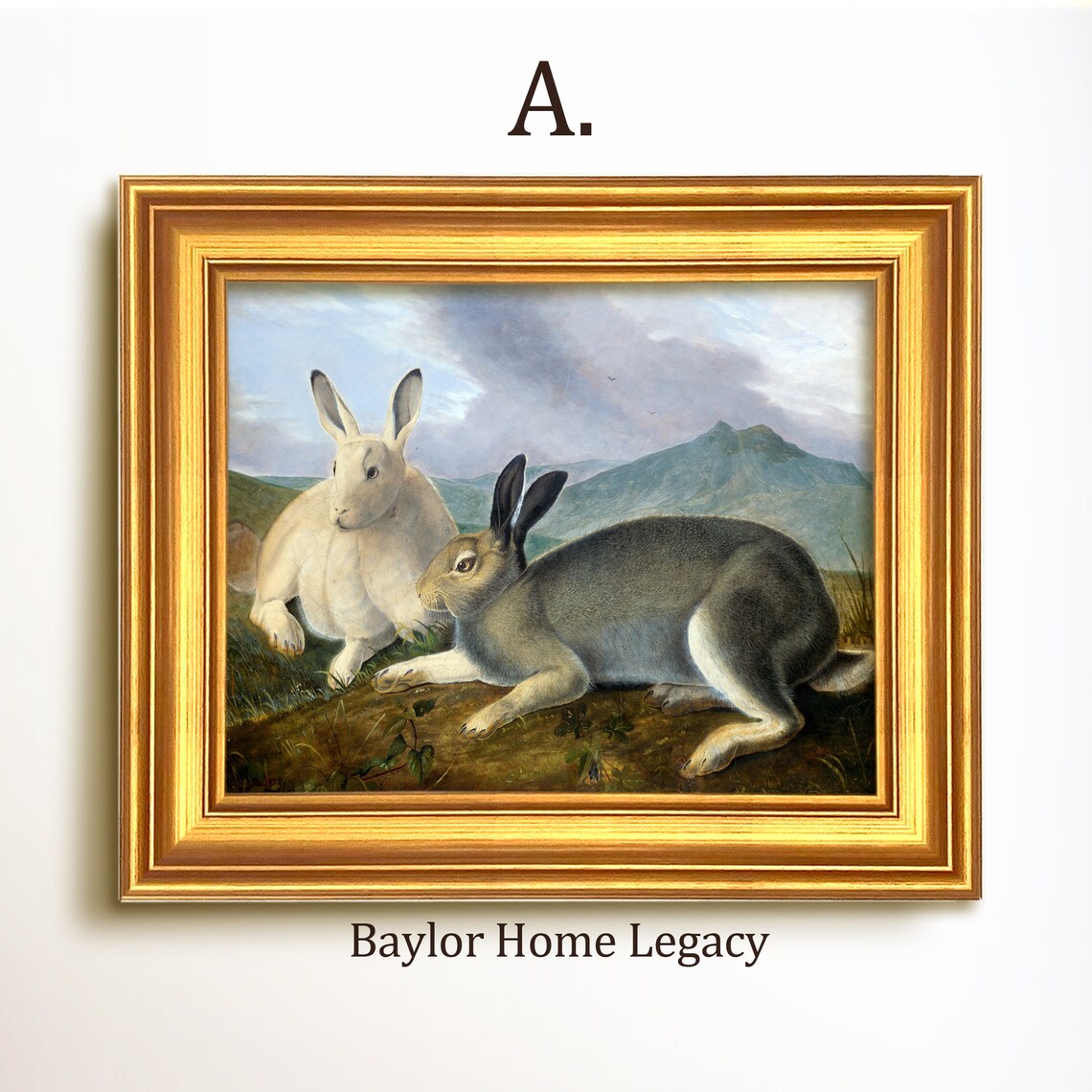 Two Hares Resting In Mountain Meadow Vintage Rabbit Wildlife Art Poster - Image 5