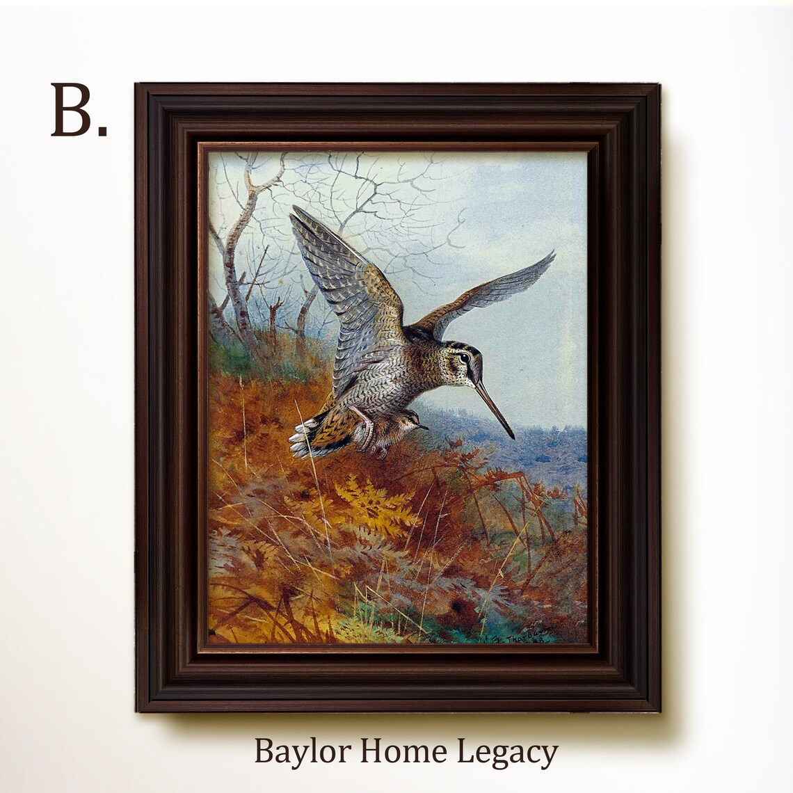 Woodcock in Flight Over Autumn Marsh Vintage Bird Wildlife Art Poster - Image 4