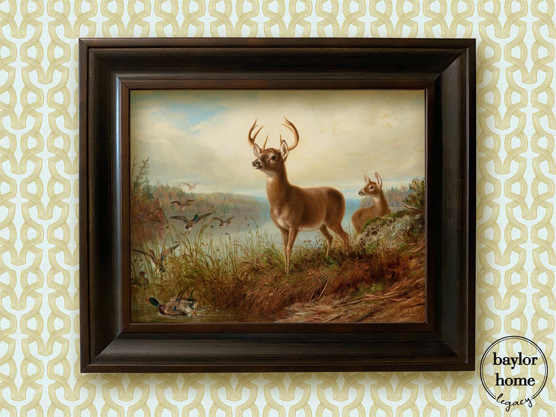 Buck And Doe With Mallard Ducks Vintage Deer Marsh Wildlife Art Poster