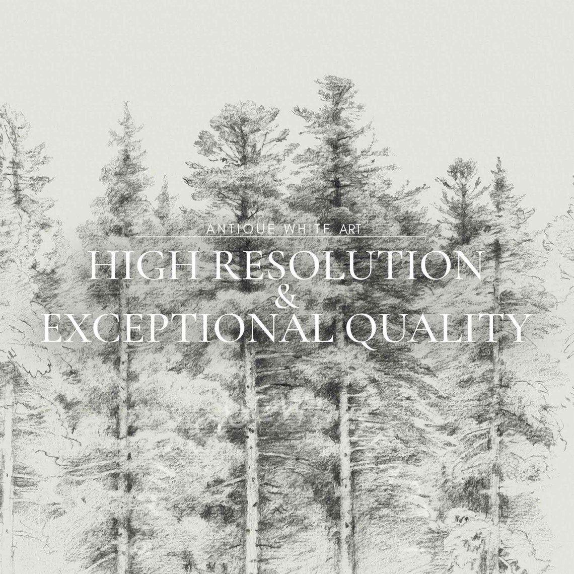 Minimalist Pine Forest Sketch Neutral Winter Trees Wall Art Print - Image 4