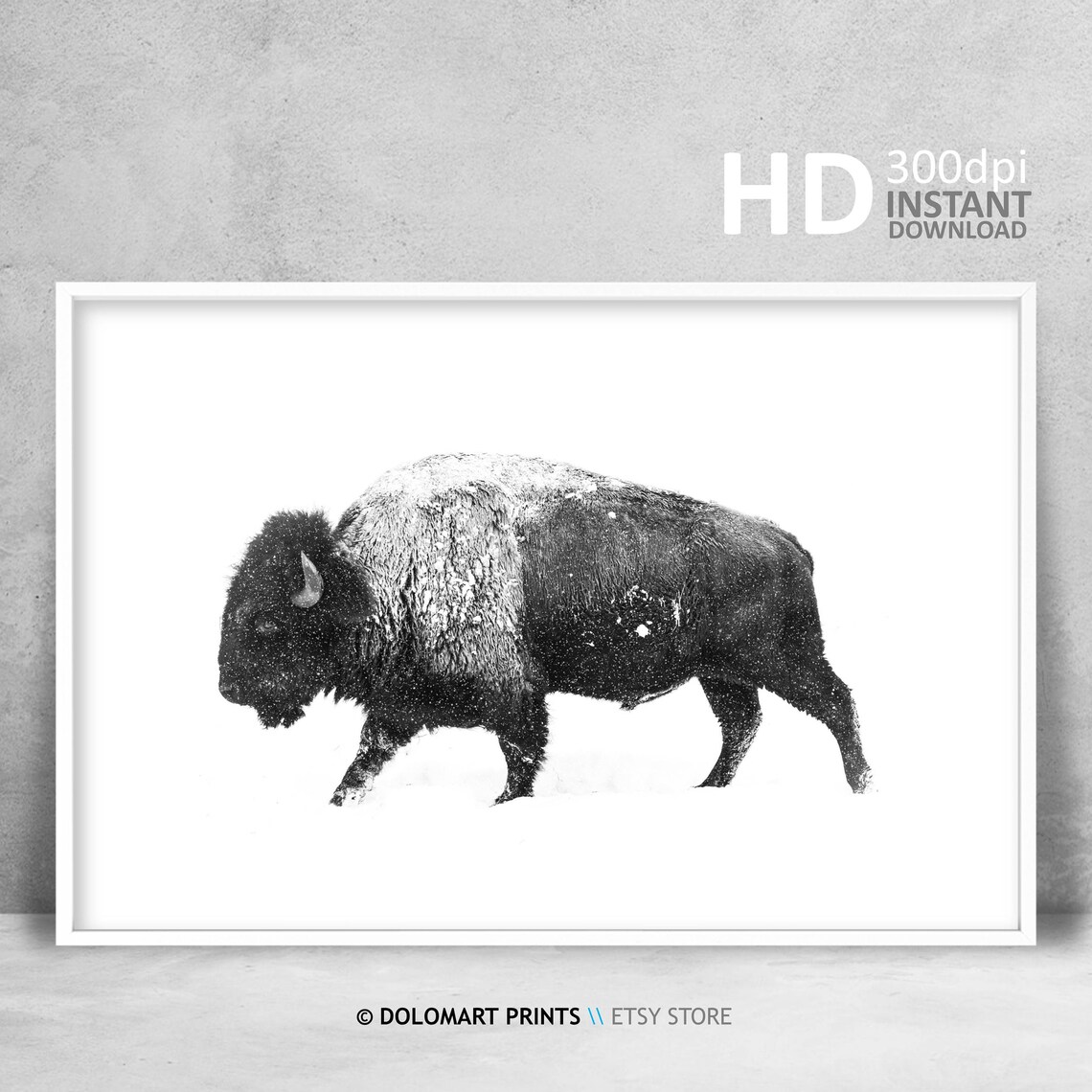 Bison Black and White Art Print, Wilderness Photography