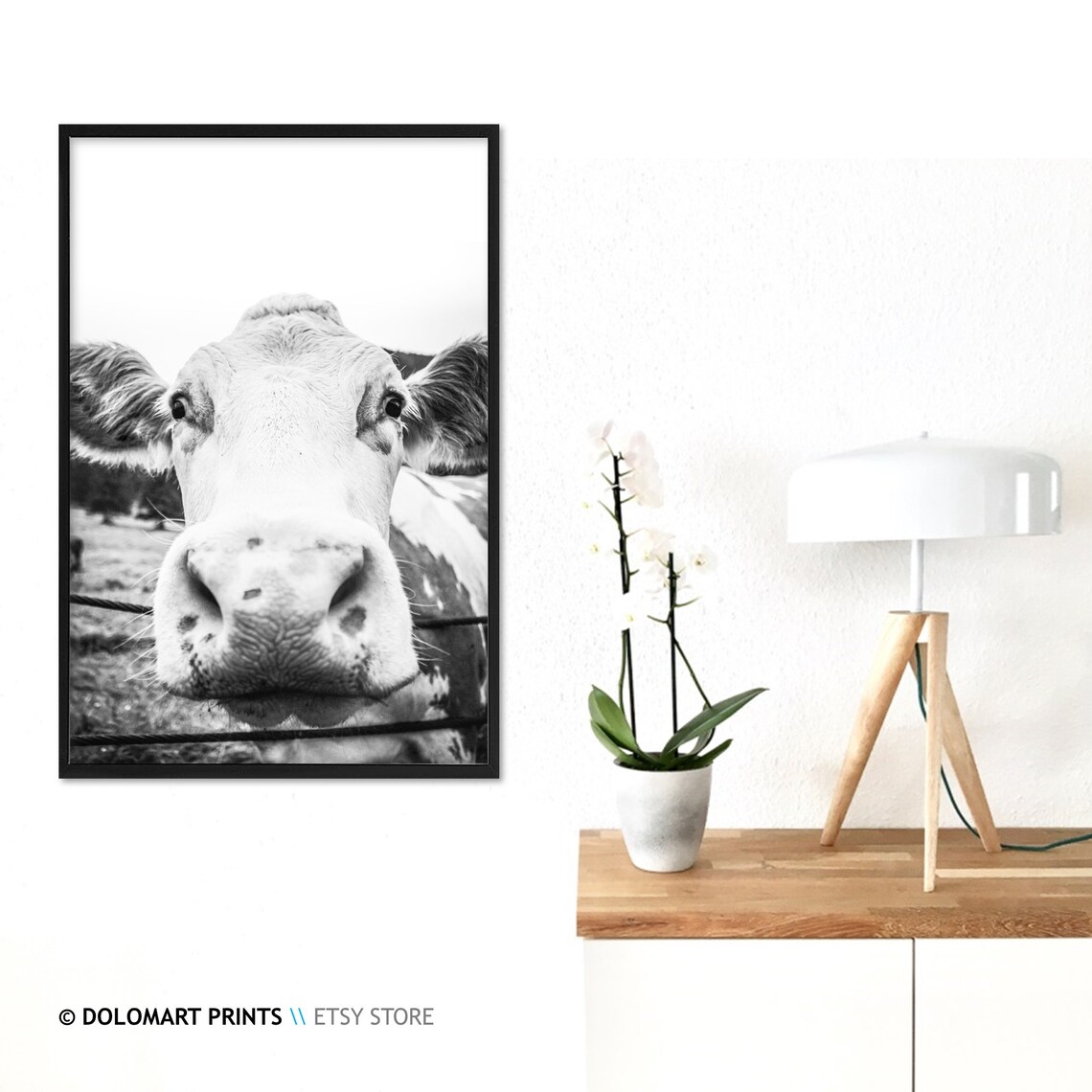Cow Wall Art, Rustic Farmhouse Animal Poster - Image 3