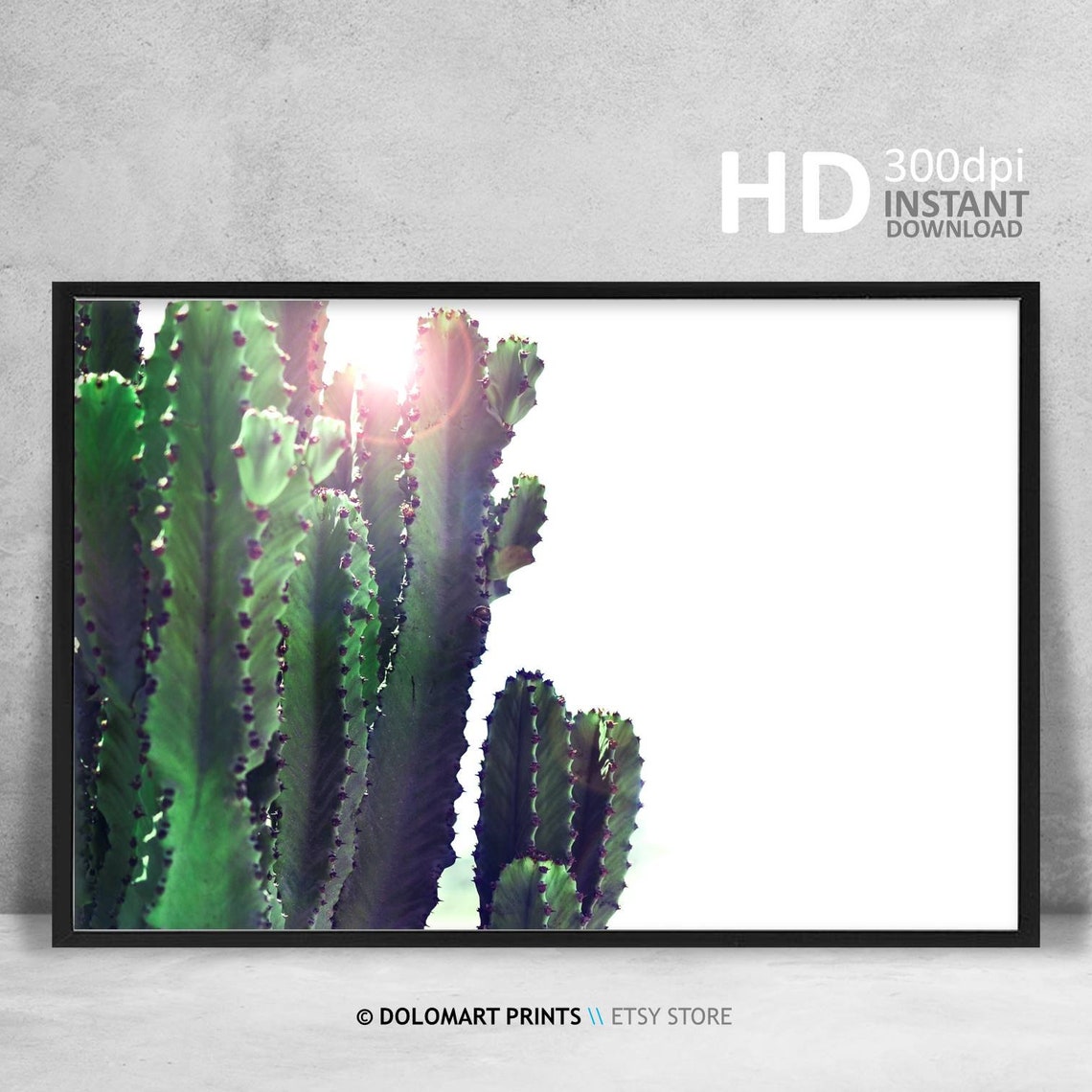 Green Cactus in Sunlight Minimalist Desert Photography Poster - Image 4