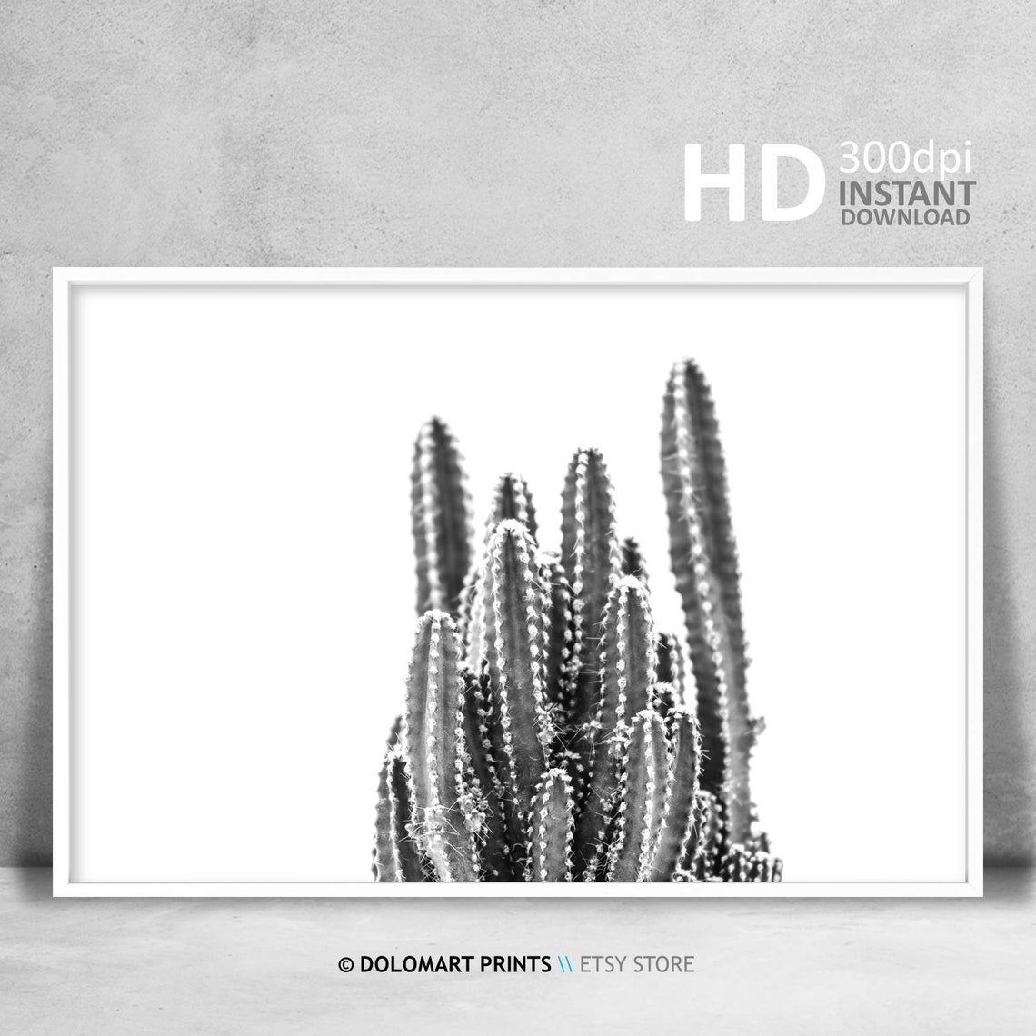Black And White Cactus Cluster On White Background Desert Plant Poster