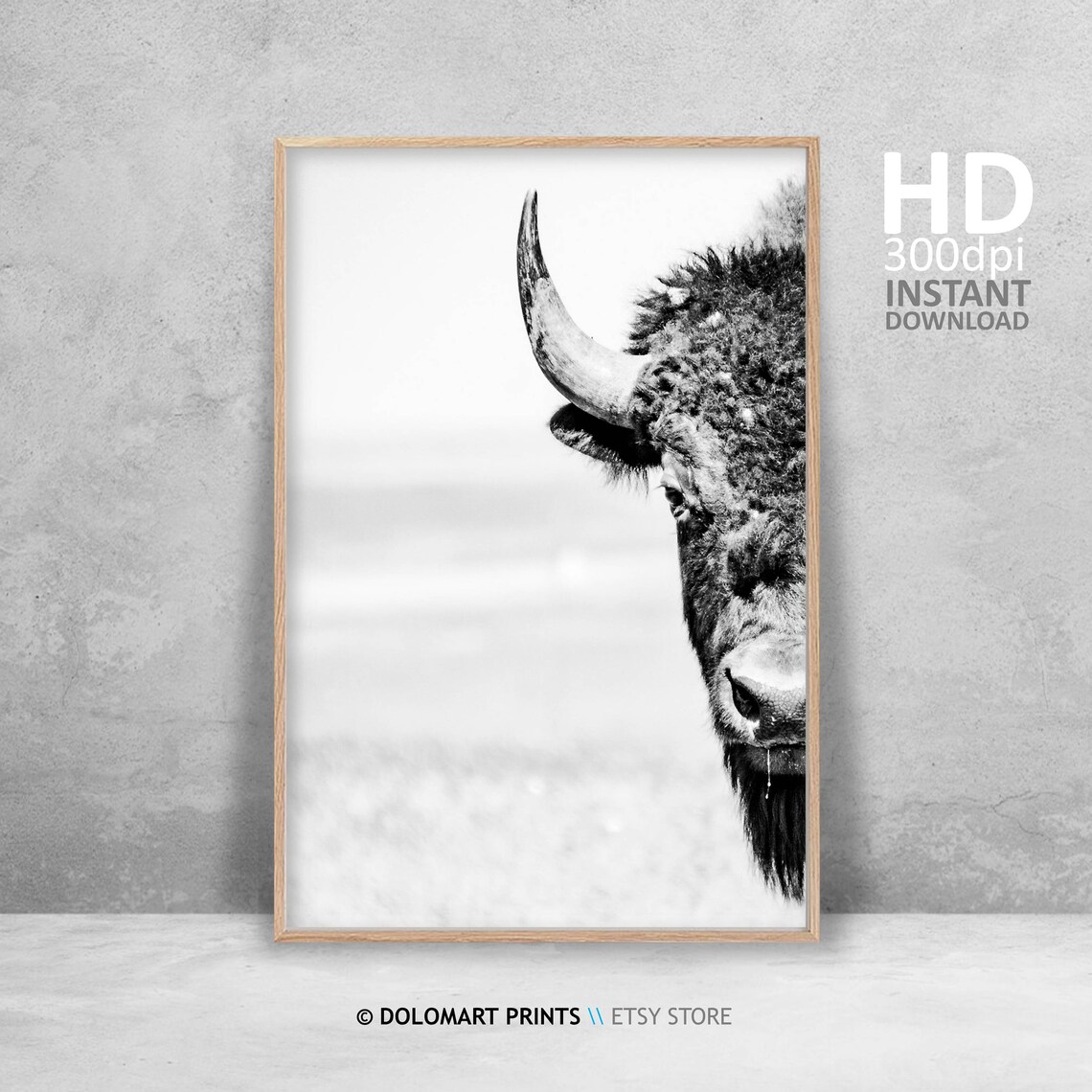 Bison Wilderness Photography Animal Poster Art Print - Image 4
