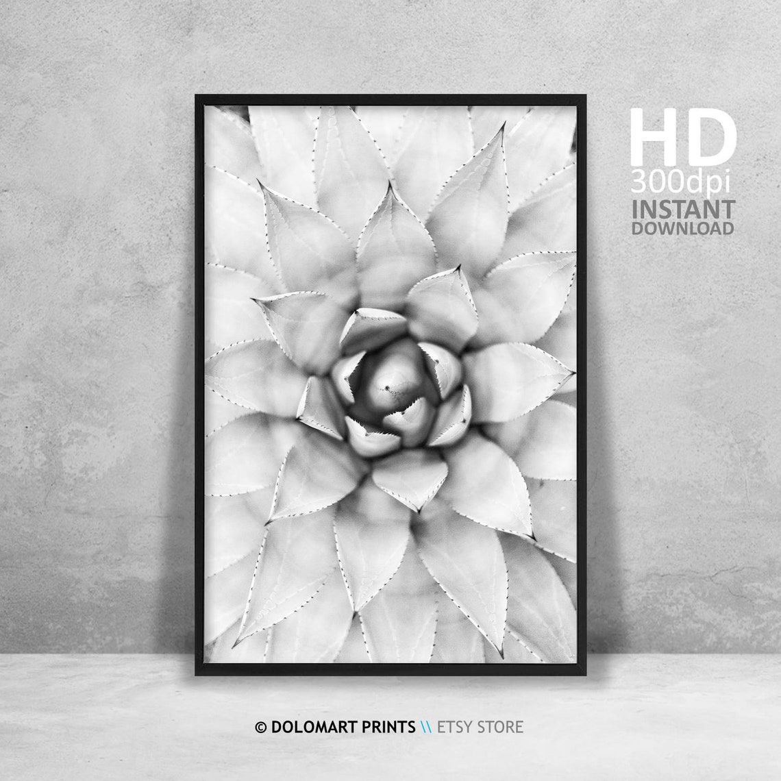 Agave Succulent Rosette Black and White Botanical Photography Poster - Image 4