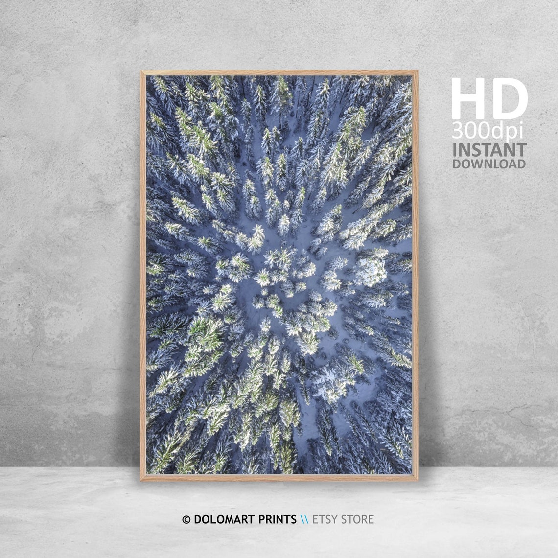 Aerial Drone View Of Snowy Evergreen Forest Frosted Winter Poster - Image 4