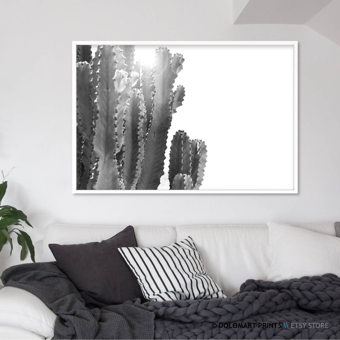 Black and White Cactus in Sunlight Desert Botanical Photography Poster - Image 2