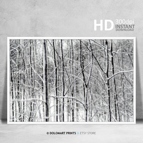 Winter Snow Forest Art Print, Christmas Wall Decor