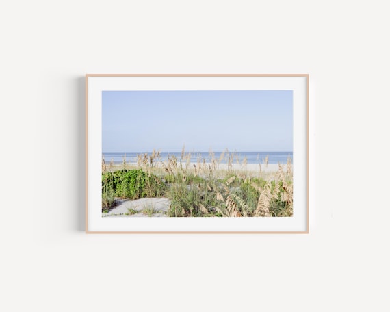 Marco Island Florida Poster of Sea Oats and Dunes on a Quiet Beach