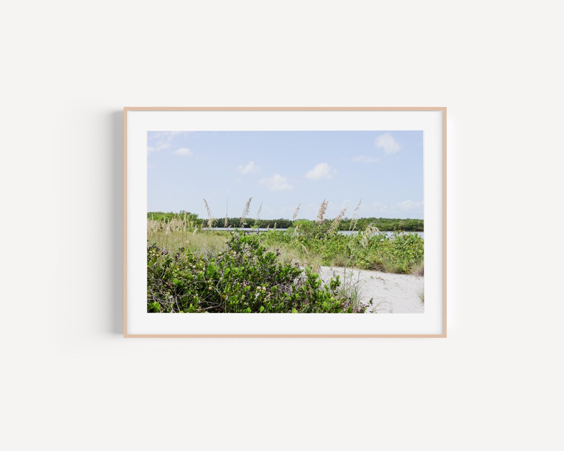 Bright Coastal Dune Grass Beach Vegetation Photography Print