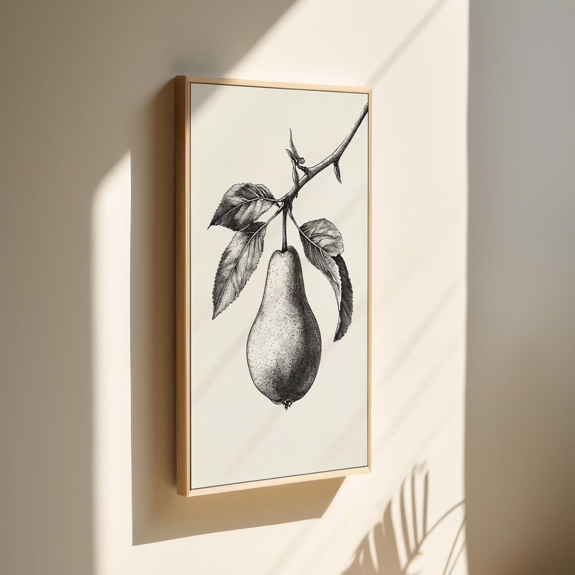Botanical Pear Drawing, Vintage Fruit Sketch - Image 2