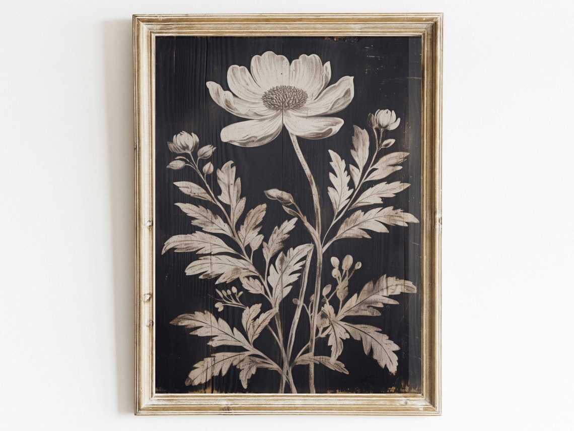 Single White Cosmos Flower on Black Wood Vintage Floral Art Poster