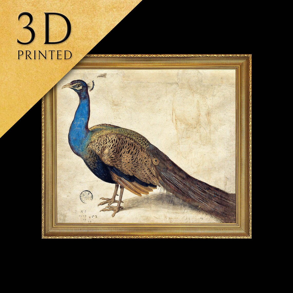 Peacock by Nicolaus Juvenel, Oil Painting Print