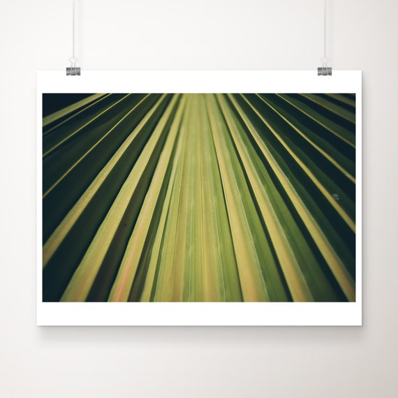 South Of France Palm Leaf Print Abstract Botanical Art