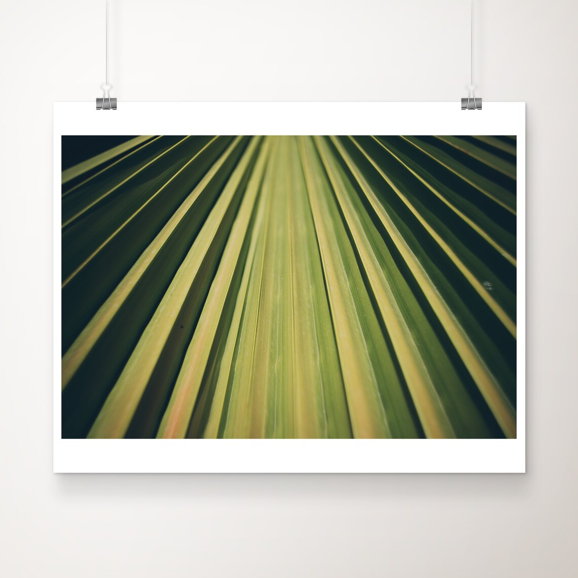 Palm Leaf Close Up Sunlit Green Botanical Abstract Decor Poster