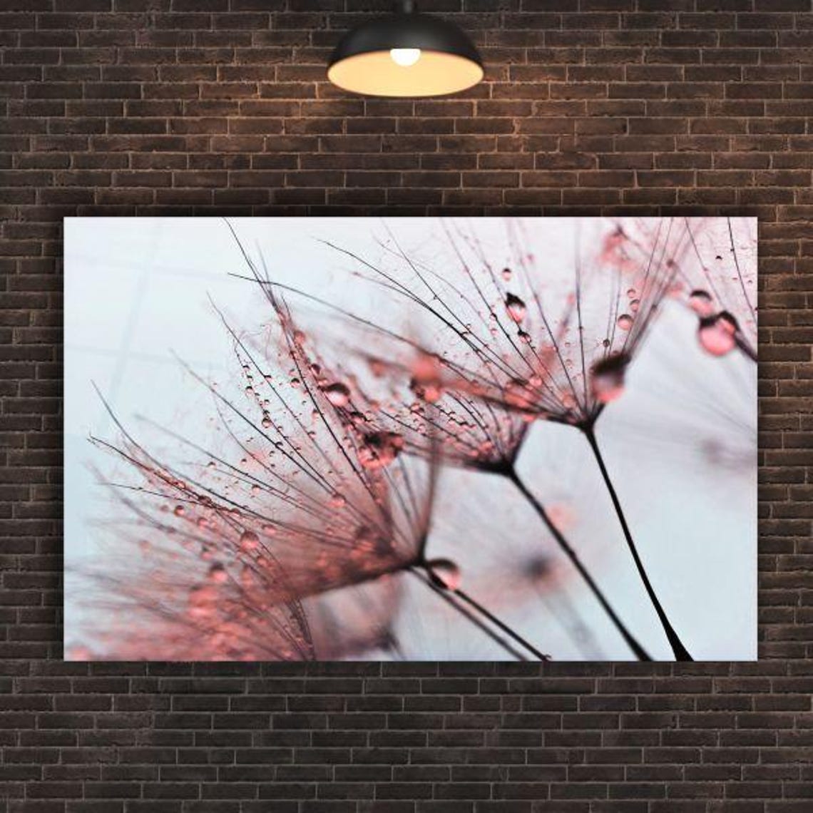 Pink Dandelion Seeds With Glistening Dewdrops Macro Nature Poster - Image 2