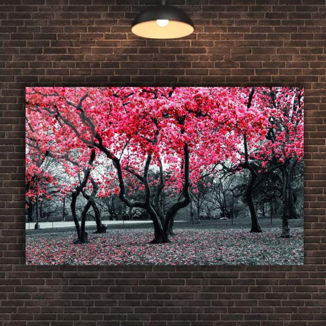 Pink Cherry Blossom Trees In Black And White Park Nature Poster - Image 2