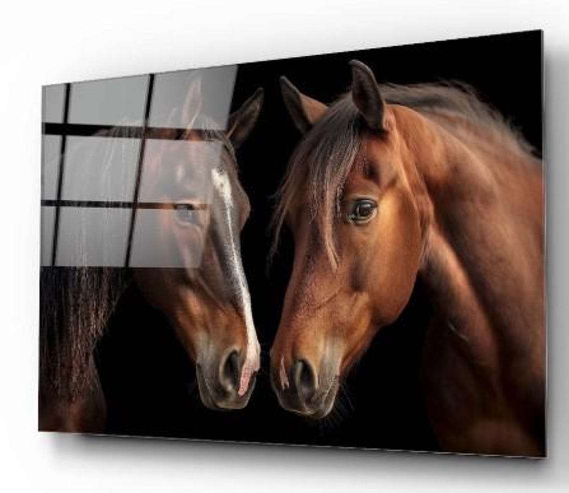Brown Horses Face To Face Black Background Equine Art Poster - Image 2