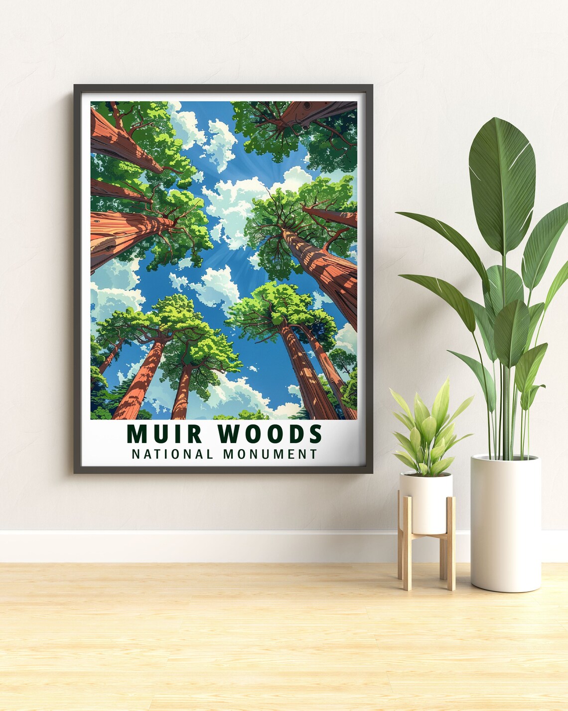 Muir Woods Towering Redwood Canopy Looking Up Blue Sky Poster - Image 2
