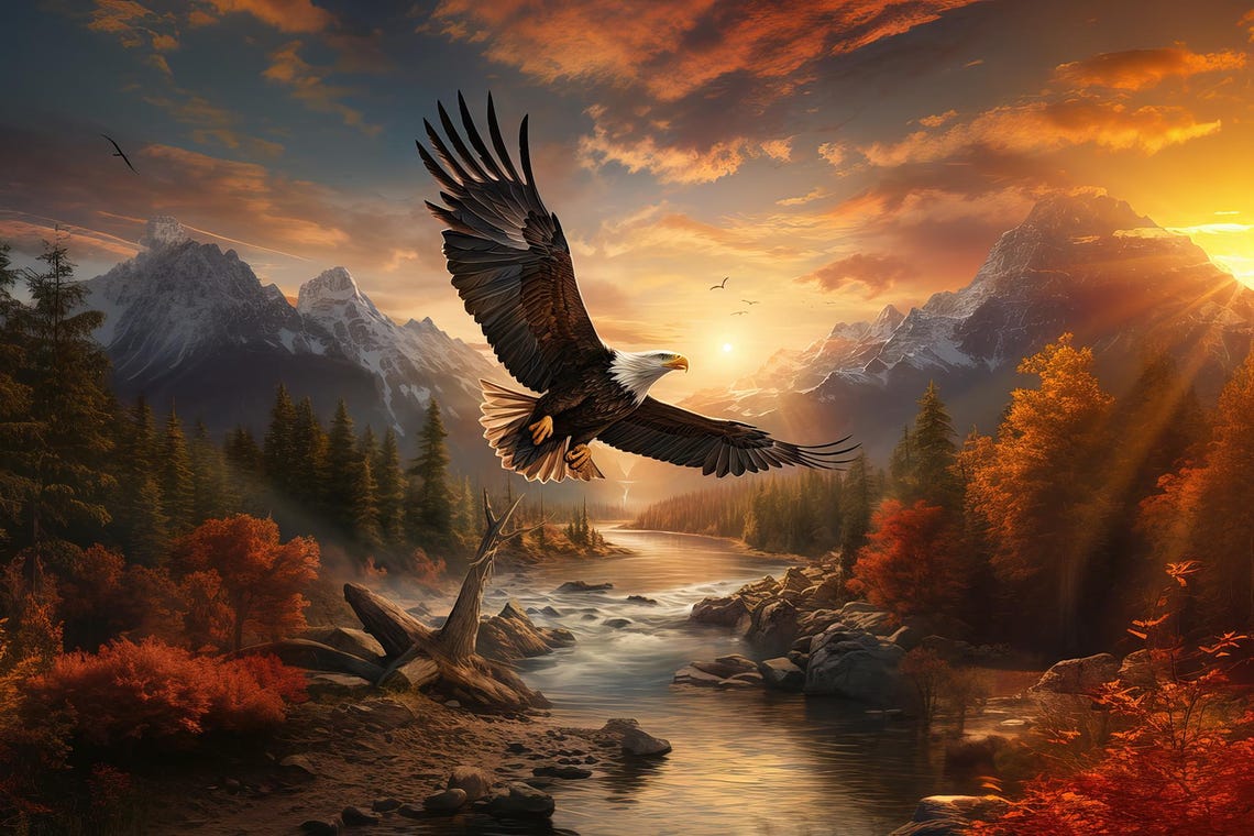 Bald Eagle Soaring Over a Rushing Mountain River at Sunset Poster