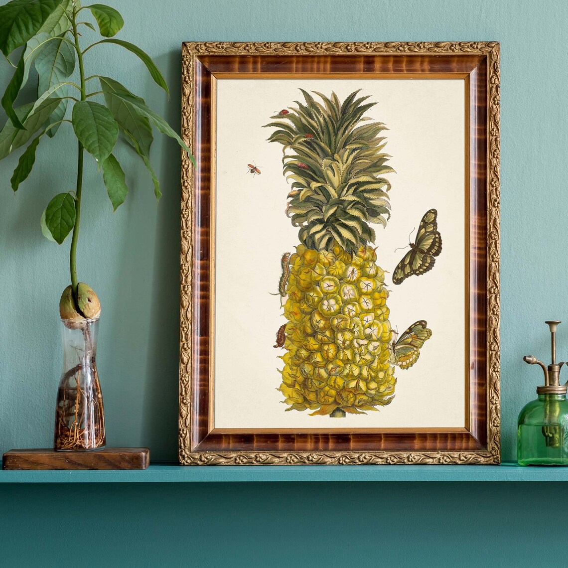 Vintage Pineapple Botanical Illustration With Butterflies Art Poster - Image 3