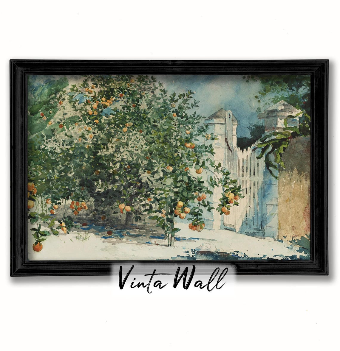 Orange Tree Heavy with Fruit by White Garden Gate Watercolor Poster - Image 3