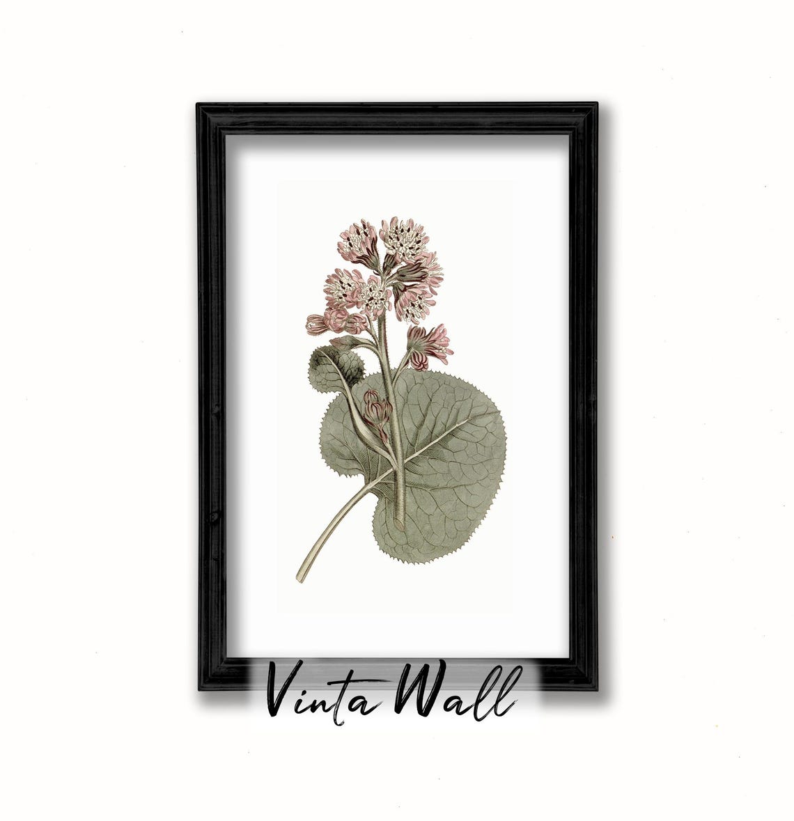 Pink Blossom Cluster with Round Leaves Vintage Botanical Poster - Image 3